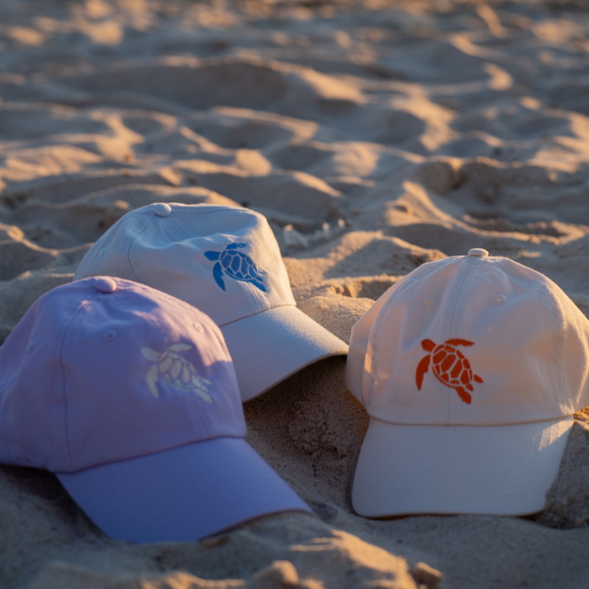 Casquette Turtle